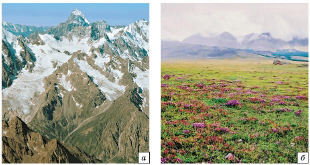 Задание рисунок 1