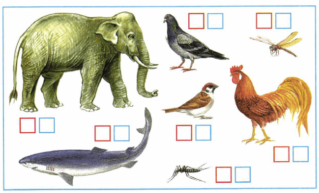 Задание рисунок 1