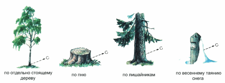 Решение рисунок 1