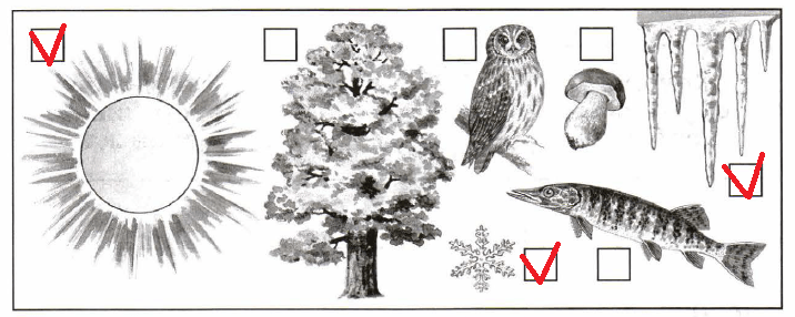 Решение рисунок 1