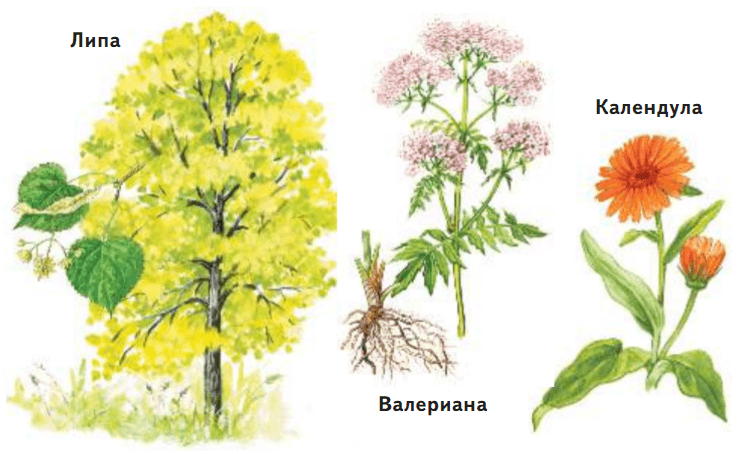 Задание рисунок 1