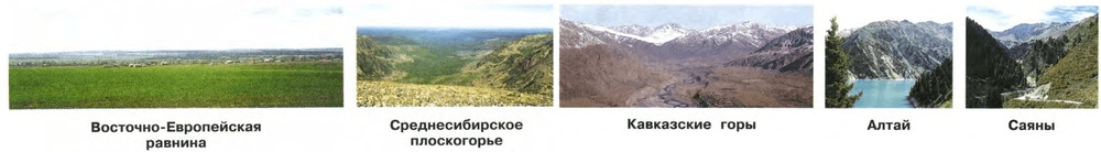 Задание рисунок 1