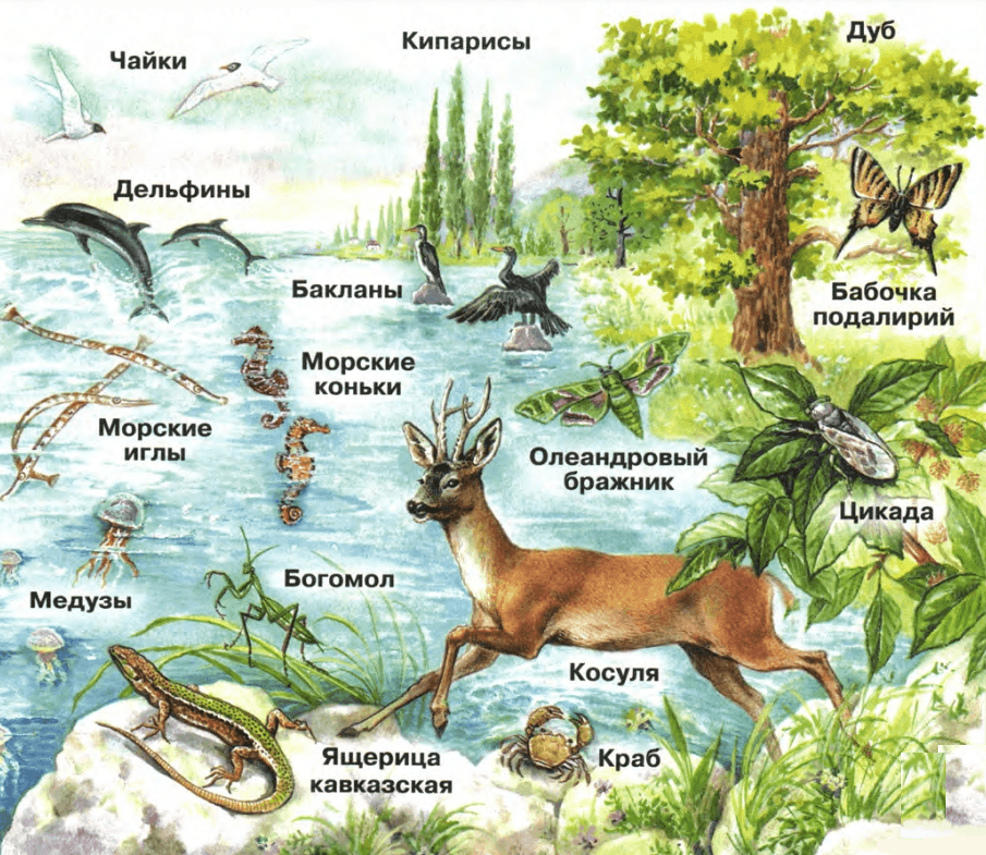Задание рисунок 1