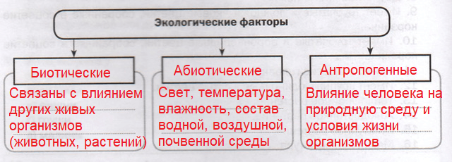 Решение рисунок 1