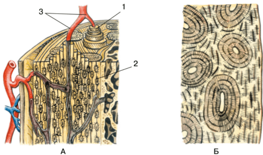 Задание рисунок 1